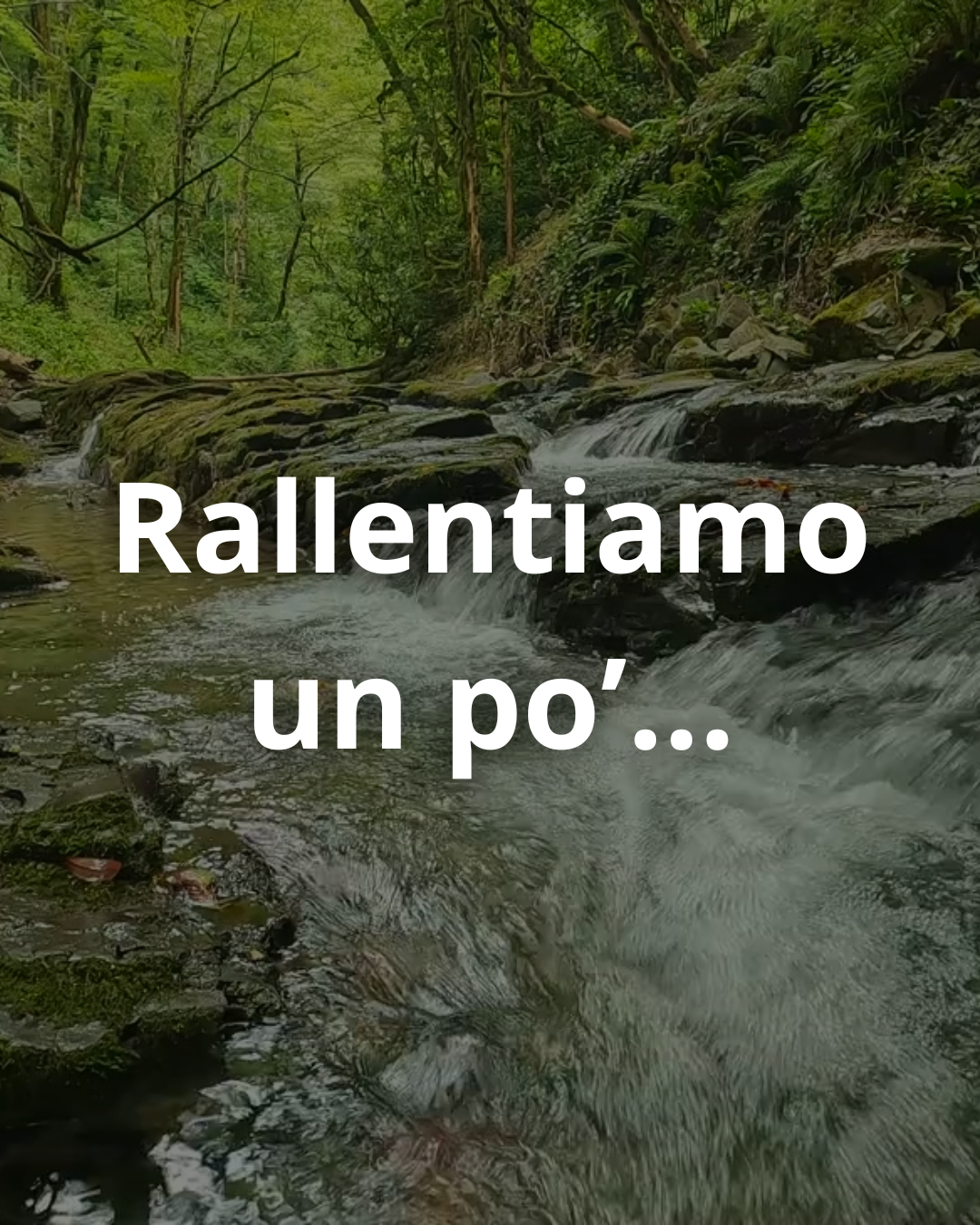 Ad agosto rallentiamo, ma vi ringraziamo con uno sconto